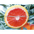 Venta de pulpa roja china naranja ombligo